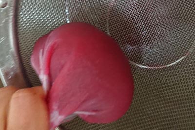紫芋の染液を絞る