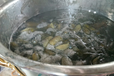 空豆のサヤの染液の鍋