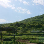 農園風景