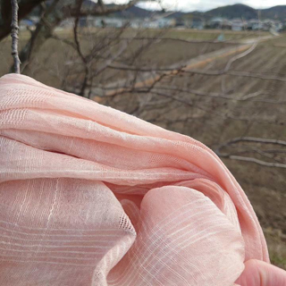 桜染めシルクストール