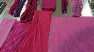 cochineal_2788-320x180.jpg