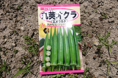 丸莢オクラエメラルドの種袋