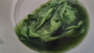 緑染め（緑葉染め）センダン染め | つぎいろ