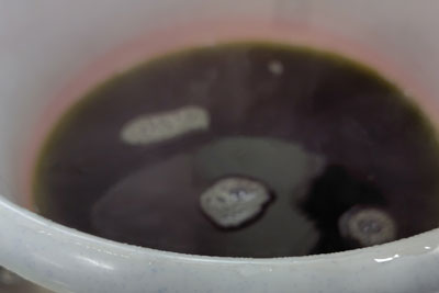 栴檀染液