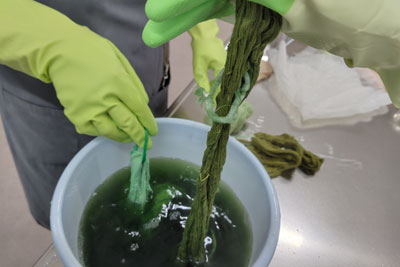 緑染め作業