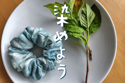 藍の生葉染め。少ない葉っぱでシルクを染める | つぎいろ