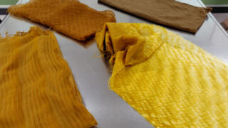 2025年8月10日(日)初心者向け草木染め体験ワークショップ開催報告