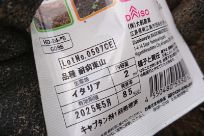 ダイソーの大根の種の種袋裏面