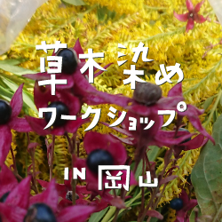 草木染めワークショップin岡山