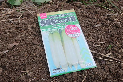 ダイソー大根の種袋