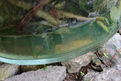 4日目下部水分