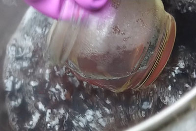 発酵煮染め液色