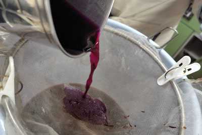 ログウッド2番液