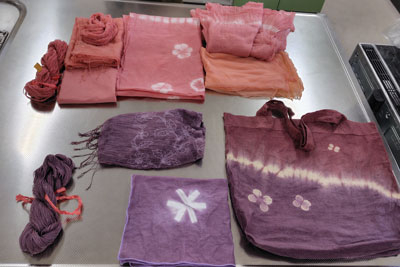 セイヨウアカネ染め体験作品