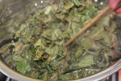 枇杷の葉の煮出し