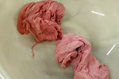 水洗い後の枇杷染め