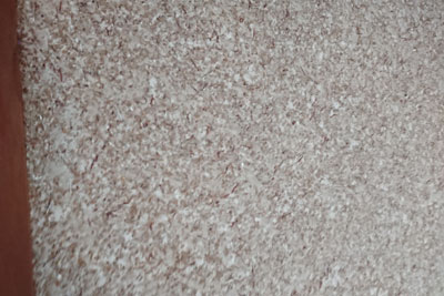 トイレの聚楽壁近景