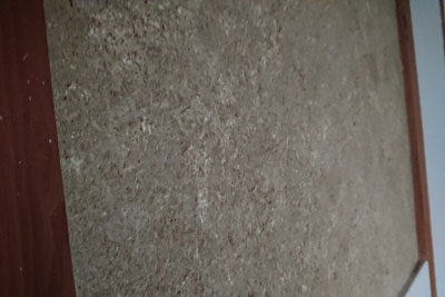 聚楽壁を剥がした後近景