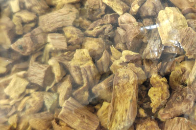 コガネバナの染料