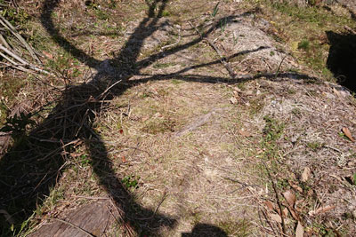 家庭菜園の北側