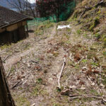 家庭菜園の南側