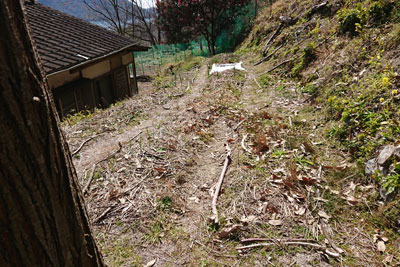 マイスイート家庭菜園