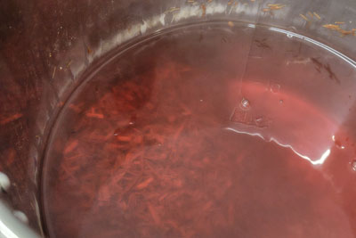 蘇芳煮出した染液