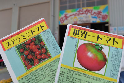 固定種のトマトの種袋
