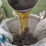 ヤシャブシ染め体験風景