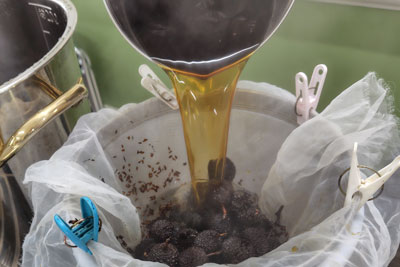 ヤシャブシ染め体験風景