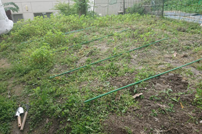 藍畑準備